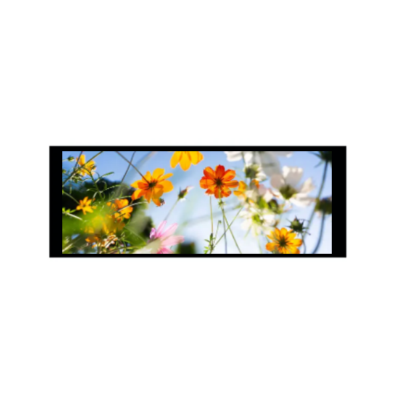 6.86 inci 480 × 1280 IPS TFT Modul